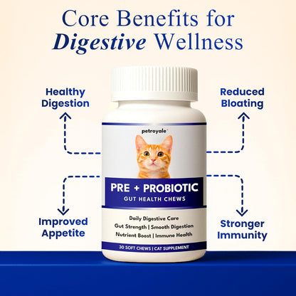 Petroyale Cat Pre + Probiotic & Prebiotic Chews – 9B+ CFU Probiotics for Cats – Cat Gut Health Supplement – Relieves Diarrhea, Improves Digestion & Immunity – Soft 30 Chews