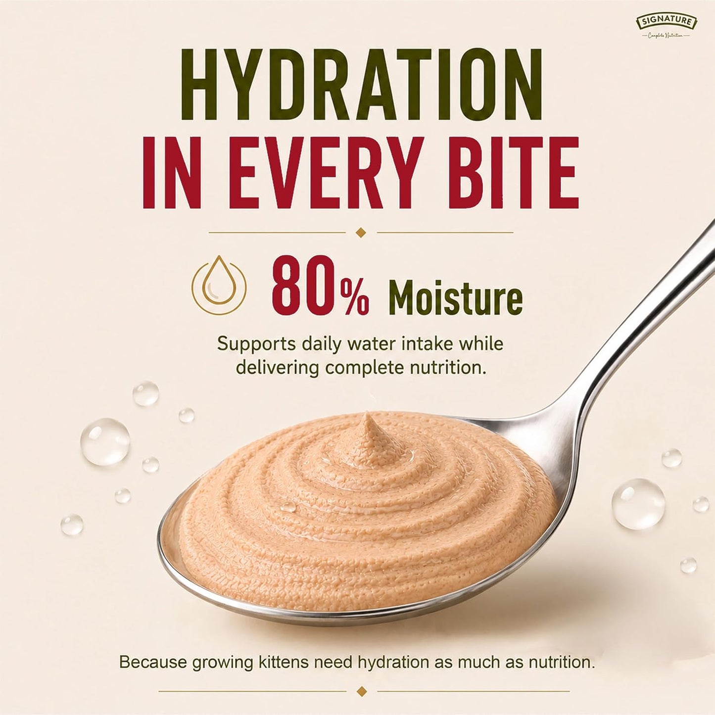 Grain Zero Adult Cat Wet Mousse 80gm | Salmon | Rich in Protein, Promotes Hydration & Easy to Digest | Grain Free, No Artificial Flavours | Packed with Essential Vitamins & Antioxidants