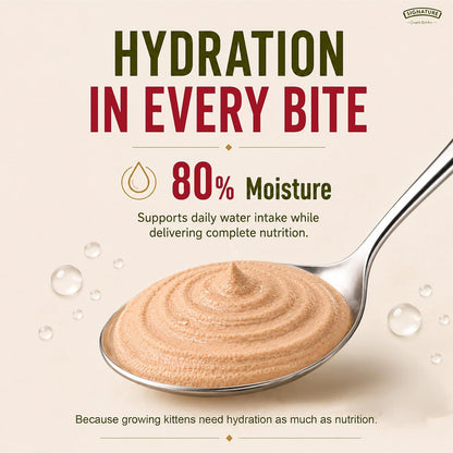 Grain Zero Adult Cat Wet Mousse 80gm | Salmon | Rich in Protein, Promotes Hydration & Easy to Digest | Grain Free, No Artificial Flavours | Packed with Essential Vitamins & Antioxidants