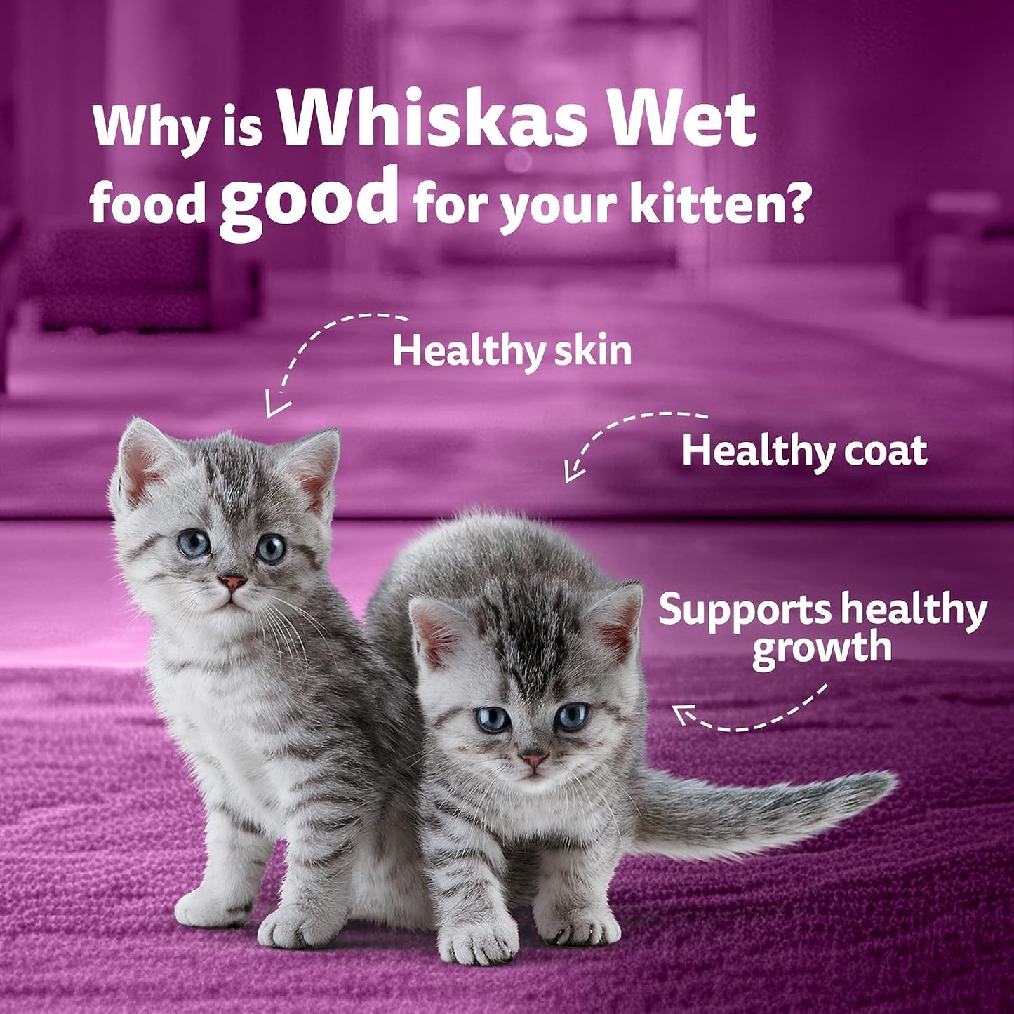 Whiskas Junior Kitten (2-12 Months) Wet Cat Food, Chicken in Gravy, 80 g Hydrating Food Made With Real Chicken, 100% Complete & Balanced Nutrition for Kittens