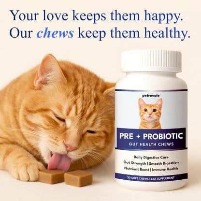 Petroyale Cat Pre + Probiotic & Prebiotic Chews – 9B+ CFU Probiotics for Cats – Cat Gut Health Supplement – Relieves Diarrhea, Improves Digestion & Immunity – Soft 30 Chews