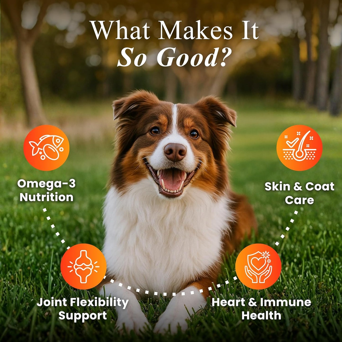 Petroyale Skin & Coat Omega Chews for Dogs | Omega 3 6 9 Soft Chews for Healthy Skin, Shiny Coat & Reduced Shedding | Dog Skin and Coat Supplement | 30 Soft Chews