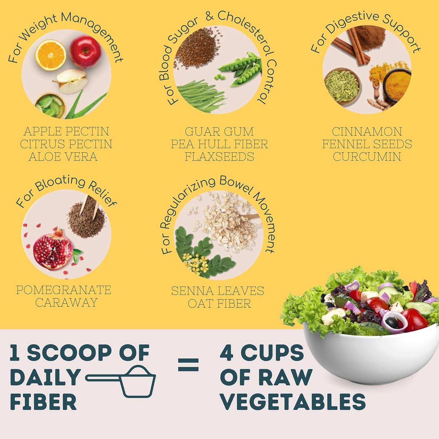 Zephivo Wellbeing Nutrition Daily Fiber Powder | Weight Management, Manages Sugar Control, Bloating, Constipation & Acidity Relief | Organic Prebiotic Digestive Fiber Supplement | 30 Servings