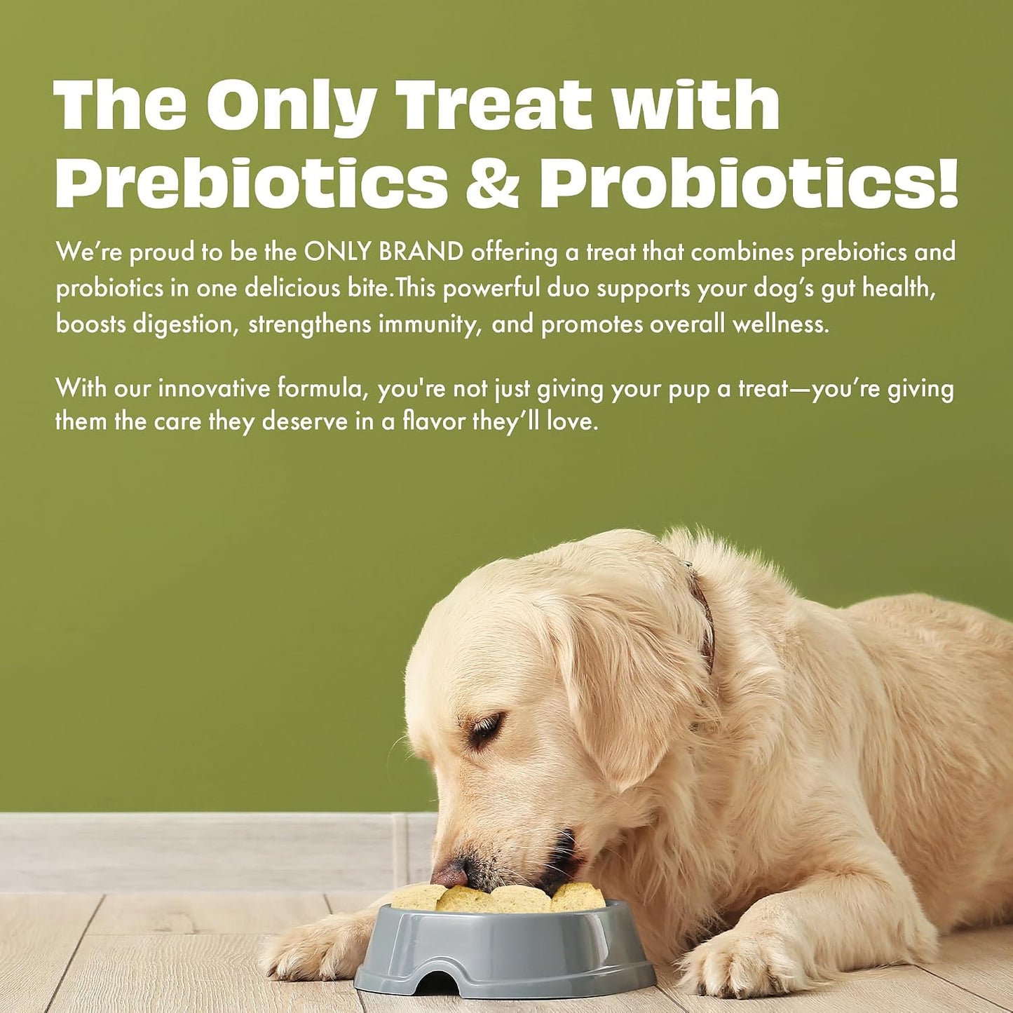 Pawfect Yogurt Melties Freeze Dried Pre and Probiotic Dog Treats with Pineapple, Coconut, Banana, Dandelion - Healthy Gut - Low Calories - Grain & Gluten Free - Reward or Training Treats (38g/1.34oz)