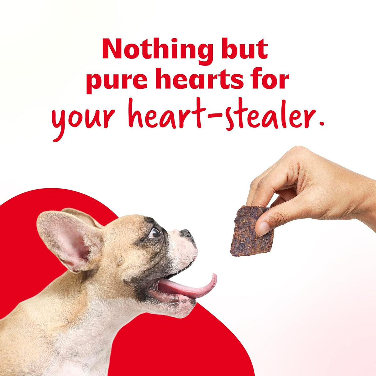 RIGHT4PAWS Chicken Heart Treats - 100% Natural & Raw, Gently Dehydrated, Grain-Free, Human-Grade Animal Meat for Dogs (Pack of 1)