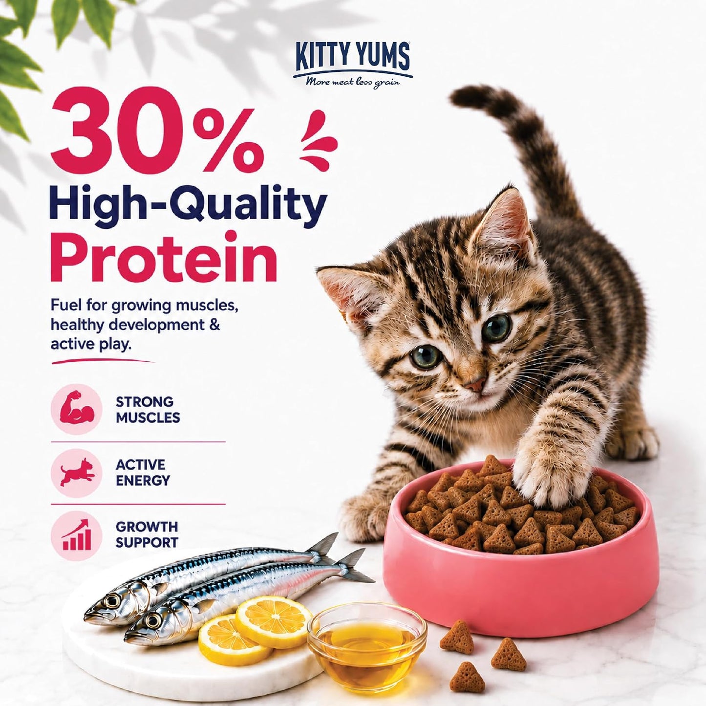 Kitty Yums Kitten (1-12 Months) Dry Cat Food 1.2kg Pack | Ocean Fish Flavour | Support Digestive Health | Strong Vision Development | Strong Immune System