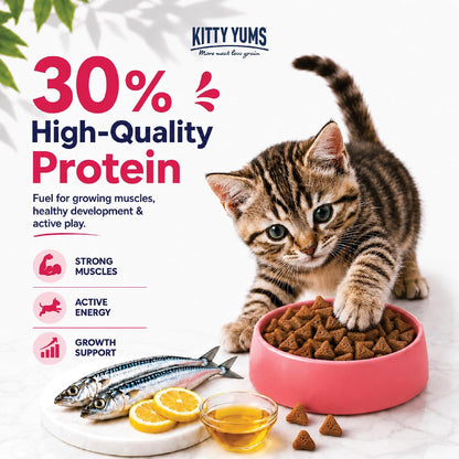 Kitty Yums Kitten (1-12 Months) Dry Cat Food 1.2kg Pack | Ocean Fish Flavour | Support Digestive Health | Strong Vision Development | Strong Immune System