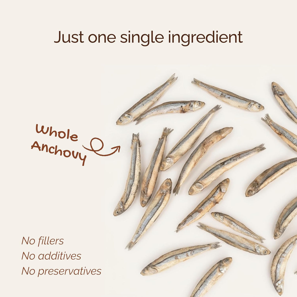 Chompz Freeze Dried Anchovy Cat Treats | Single Ingredient Fish Treat | 15g | Crunchy Cat Treats