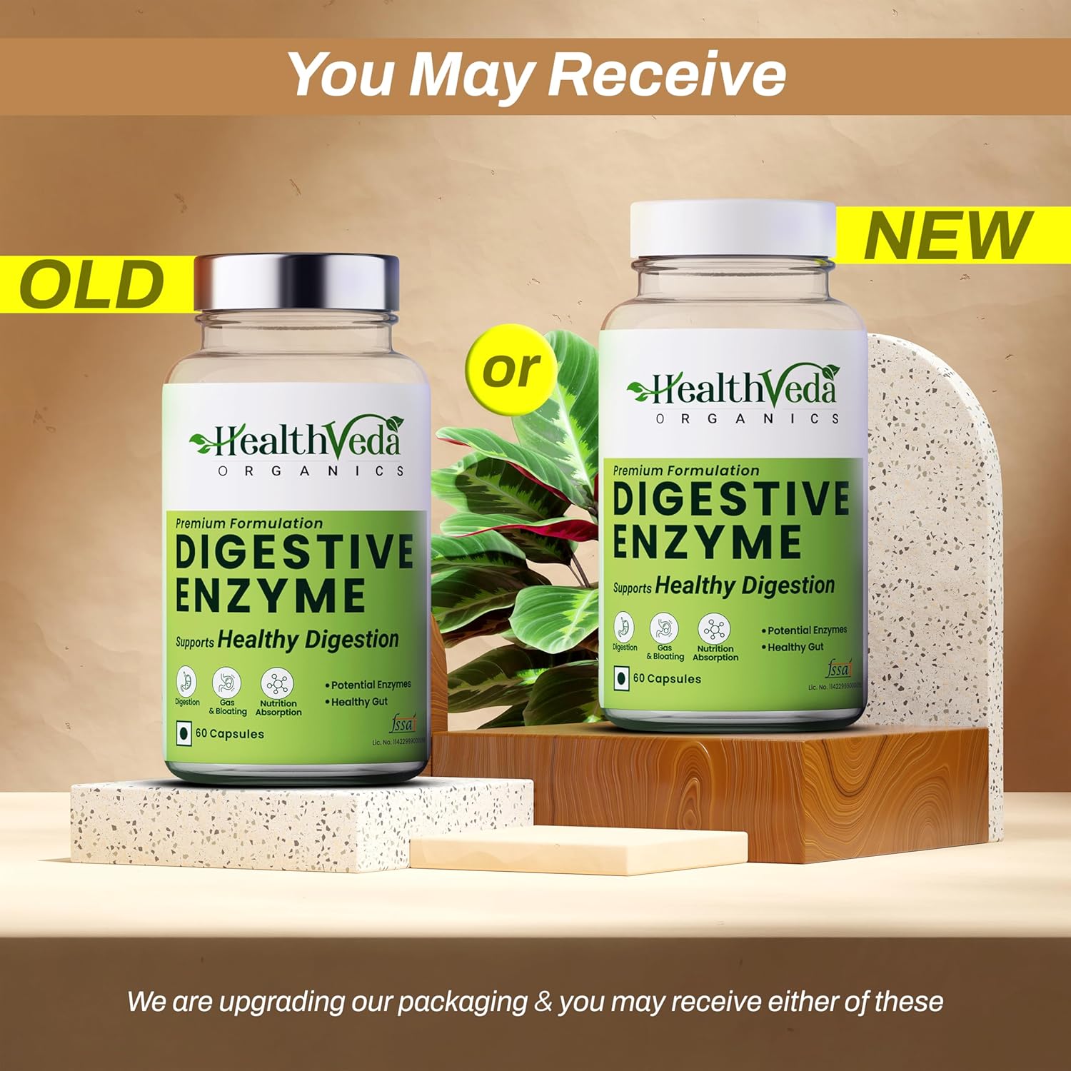 Zephivo Health Veda Organics Digestive Enzyme Capsules | For Better Digestive Function, Healthy Gut, & Health Management | 60 Veg Capsules for both Men & Women…
