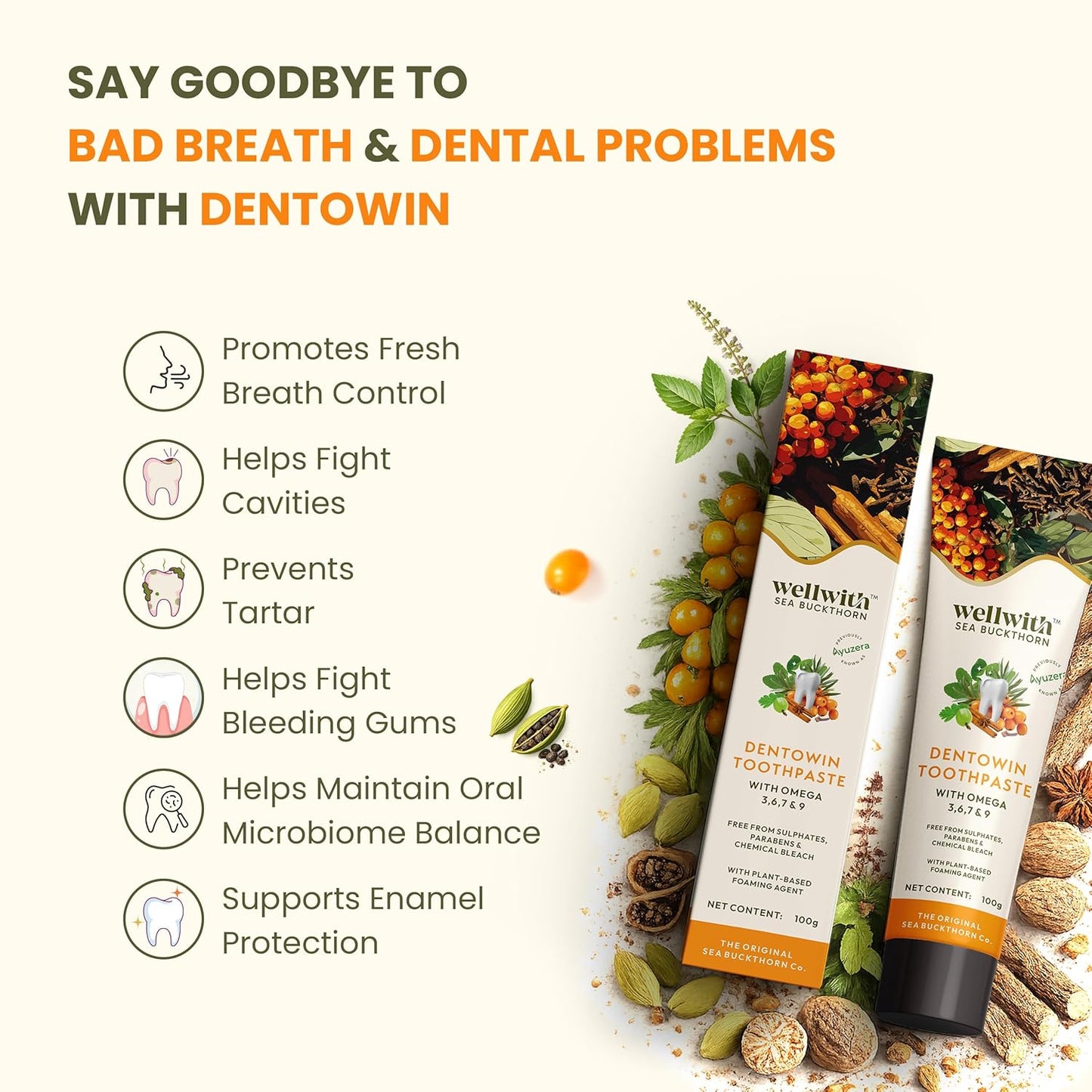 Wellwith(Ayuzera) DentoWin(100g, Pack of 1) Herbal Gum Care Toothpaste with Himalayan Sea Buckthorn Berry, Tulsi & Neem, Teeth Whitening - Natural Formula, No Fluoride