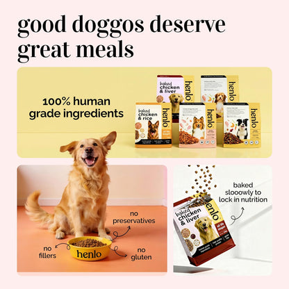 Henlo Baked Dry Dog Food For Puppies | 1Kg |100% Human-Grade Ingredients | Nutritionally Balanced Healthy Dog Food | Chicken Flavour | Suitable For All Breeds, 1 Count