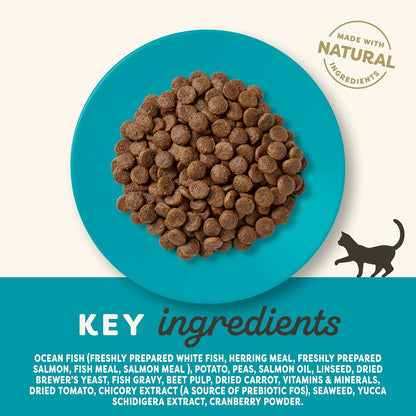 Applaws Complete Natural Dry Cat Food 350g Adult Ocean Fish with Salmon