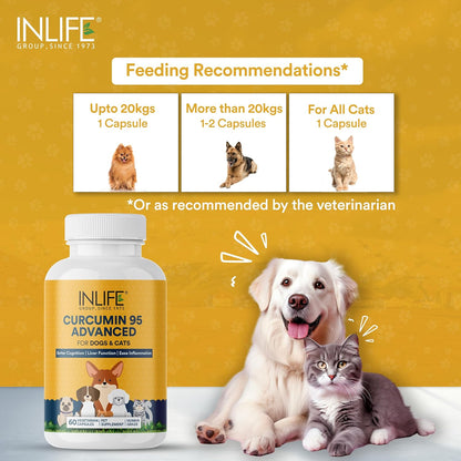 INLIFE Curcumin with Piperine for Dogs Cats and Pets 95% Curcuminoids for Immunity Liver Function and Ease Inflammation- 60 Vegetarian Capsules