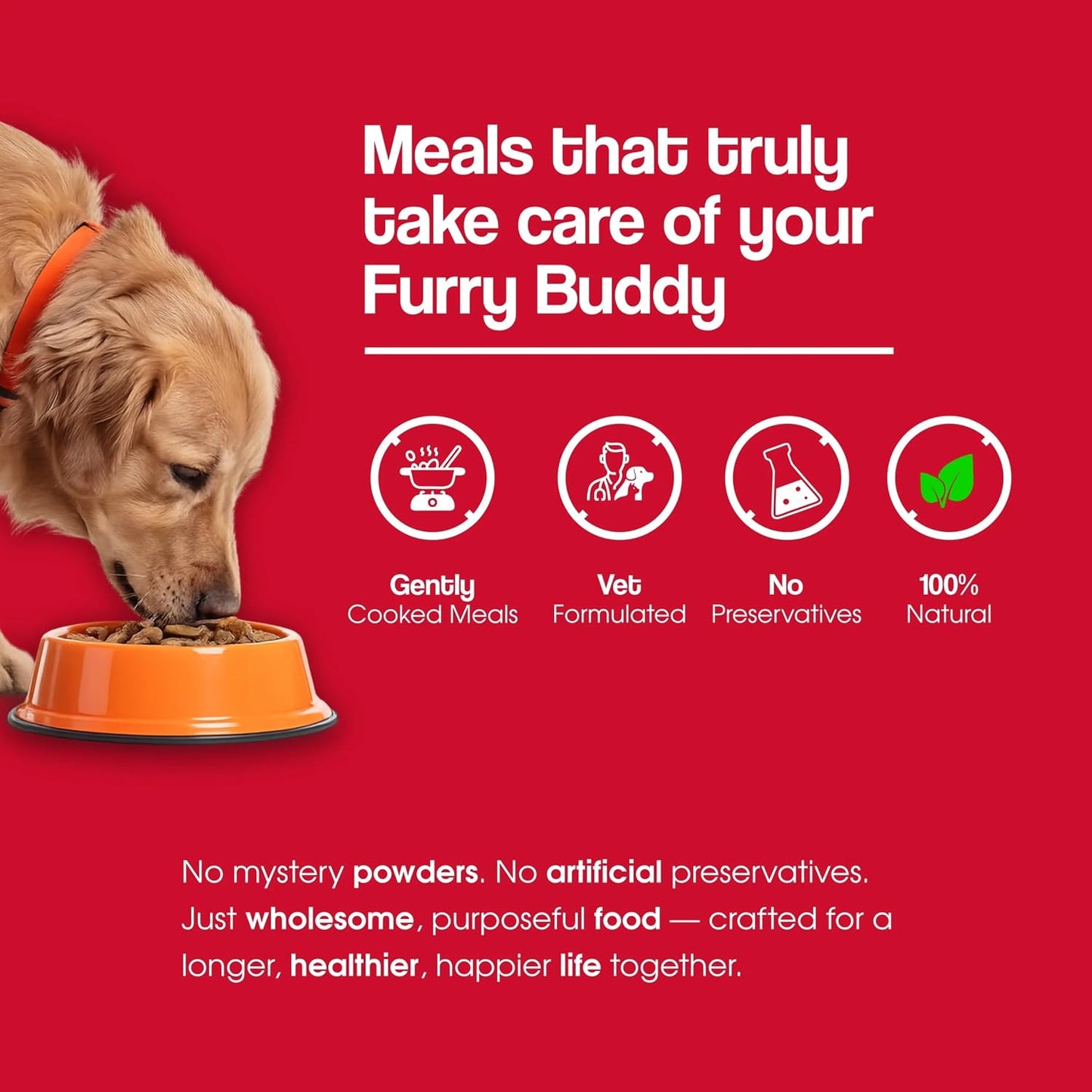 Wuuff&Meow Dog Renal Care Gently Cooked Functional Dog Food | Kidney Supported & Vet-Formulated Therapeutic Renal Diet for Dogs Powered by Arbocel® Plant-Based Functional BioFiber (100 g (Pack of 1))