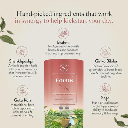 Wellbeing Nutrition Focus Tea | Memory Booster Green Tea for Focus, Concentration & Cognitive Function with Brahmi, Shankhpushpi, Ginkgo Biloba, Gotu Kola (20 Pyramid Tea Bags)