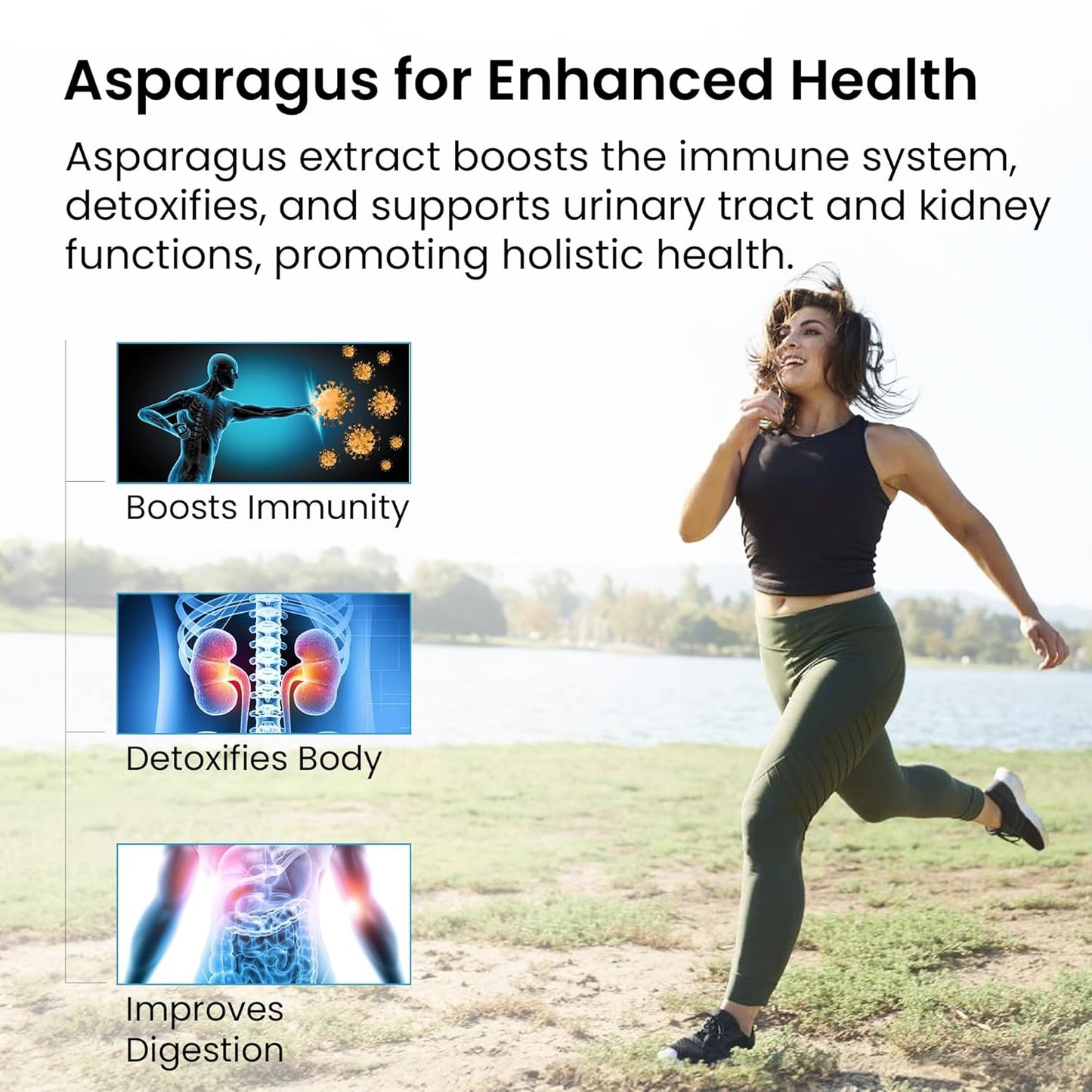 Healthvit Asparagus 400mg (20% Saponin) | Improve Immune System & Urinary Tract Function | Vegan & Gluten Free | 60 Capsules