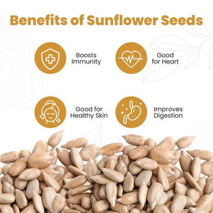Nutrihar Roasted Sunflower Seeds 100g | Unsalted, Dry Roasted Sunflower Seeds for Eating | No Added Oil | Rich in Vitamin-E & Fibre