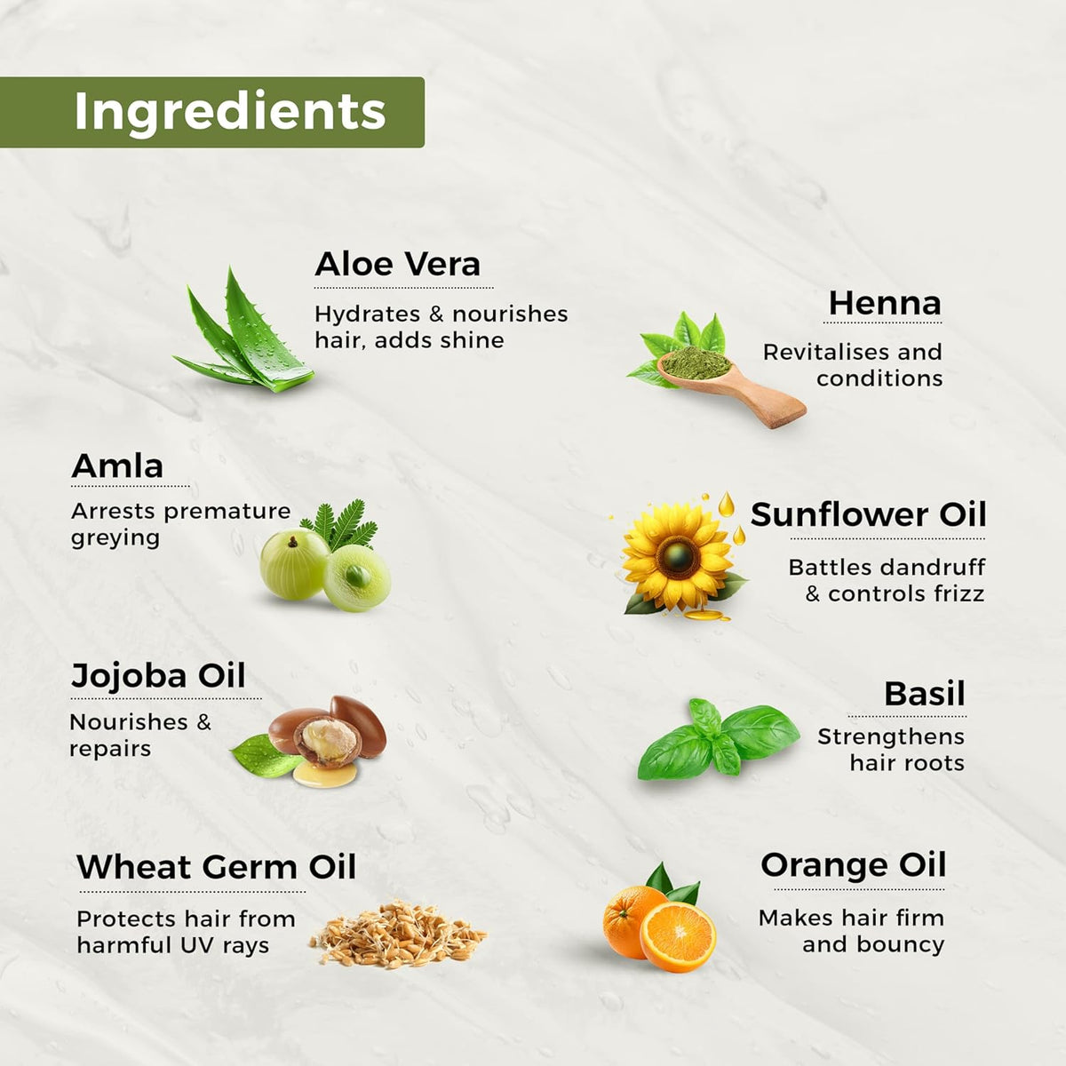 List of hair care product ingredients with corresponding images and descriptions on a light background