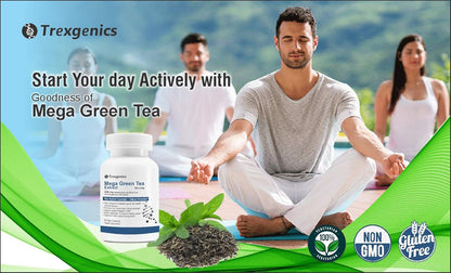 Trexgenics® MEGA Green Tea (Bioactive 95% Polyphenols) One-a-day Antioxidant, Free Radical Scavenger, Cellular Protection, Heart, Skin, Immunity & Metabolism (60 Vcaps) (1)