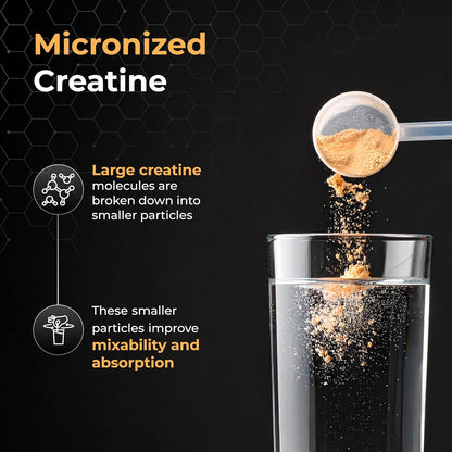 Nutrabay Gold Micronised Creatine Monohydrate Powder 3000 mg Creatine per Serving, NABL Lab Tested – Increases Muscle Mass, Strength & Power – Pre/Post Workout Supplement – 250 g, Orange