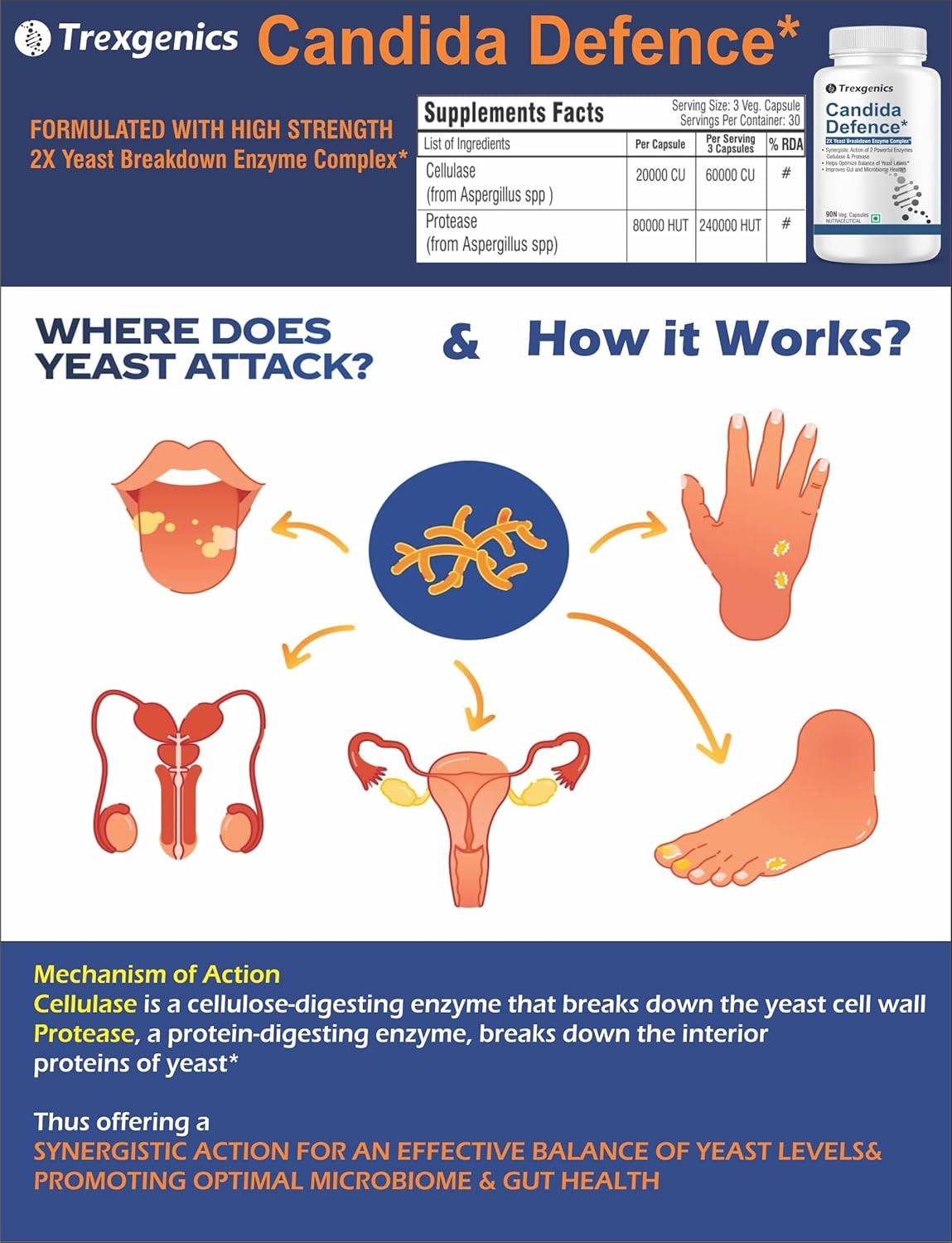 Trexegenics Candida Defence supplement information with illustrations and text on a blue and white background.