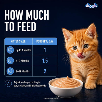 Drools Kitten Wet Mousse 80g | Ocean Fish | High Protein | Promotes Hydration & Easy Digestion | Grain Free | No Artificial Additives | Enriched with Vitamins & Antioxidants