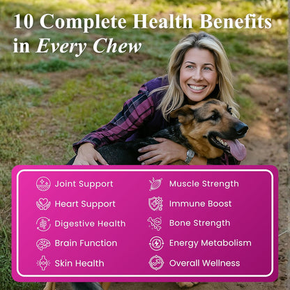 Petroyale Senior Support Dog Supplements – All-in-One Senior Dog Supplements for Mobility, Hip & Joint, Brain, Heart & Eye Health – Immune Support Vitamins (Dog Senior Support 30 Soft Chews)