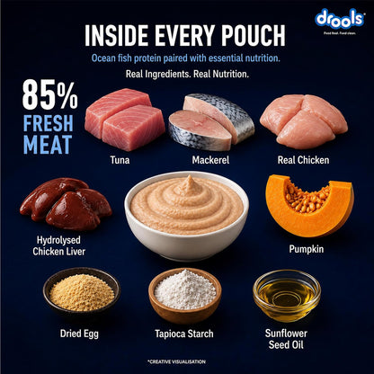 Drools Adult Cat Wet Mousse 80g Pack of 5, 400g | Ocean Fish Flavour | Rich in Protein, Hydrating & Easy to Digest | No Artificial Flavours | with Essential Vitamins & Antioxidants