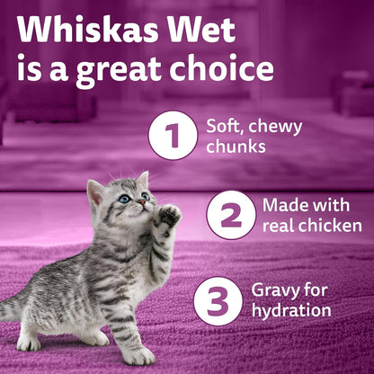 Whiskas Junior Kitten (2-12 Months) Wet Cat Food, Chicken in Gravy, 80 g Hydrating Food Made With Real Chicken, 100% Complete & Balanced Nutrition for Kittens