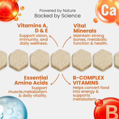 Nootie Daily Multivitamin for Dogs | Vitamins, Minerals & 7 Essential Amino Acids | Immune Boost, Better Vision, Healthy Skin Vet-Formulated Soft Chews | 30 Chews (All Breeds & Life Stages) 16in1