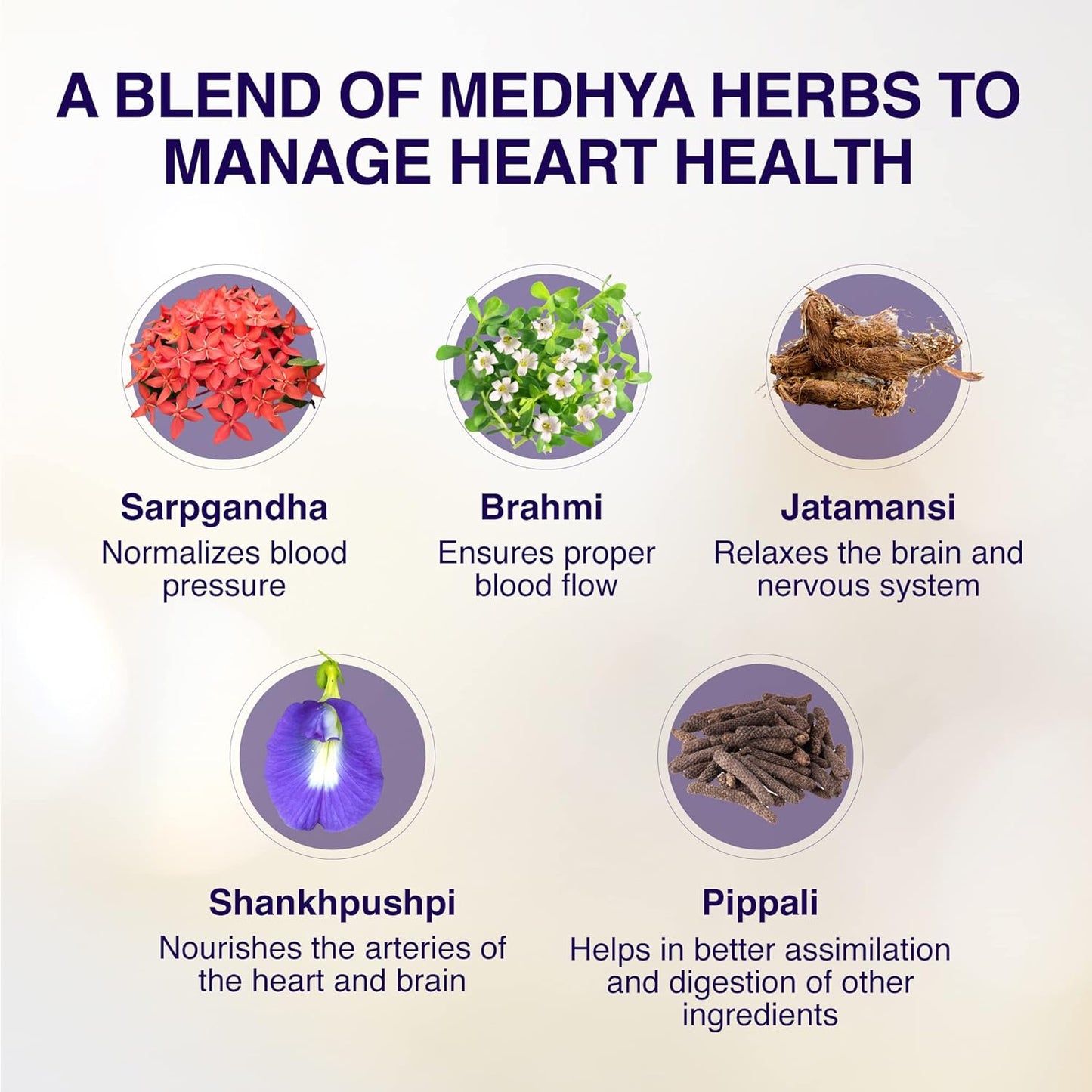 Zephivo Maharishi Ayurveda Cardimap | Helps Normalises Blood Pressure Naturally | Unique Formulation | Synergy of 5 Herbs | 30 days Pack (60 Tablets)
