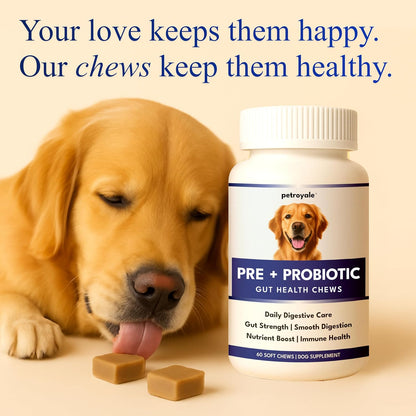 Petroyale Dog Pre+ Probiotic & Prebiotic Chews – Probiotics for Dogs – Dog Gut Health Supplement – Relieves Diarrhea, Improves Digestion & Immunity – 60 Soft Chews