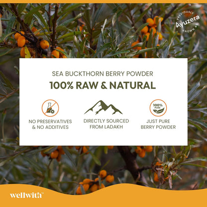 Wellwith Himalayan Sea Buckthorn Dry Berry Kkin Powder, 100g | Rich in Omega 3, 6, 7, 9 | Collagen, Fiber, Omegas, Vitamin C, Vitamin E | Dry Sea Buckthorn Berry Powder (100, Grams)