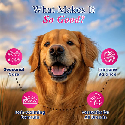 Petroyale Allergy & Itch Chews for Dogs | Anti-Allergy & Anti-itching Supplement - Relief from Allergies, Hot Spots, Dry Skin, Scratching for Dogs - Grape Seed Extract & Rosemary | 20 Soft Chews