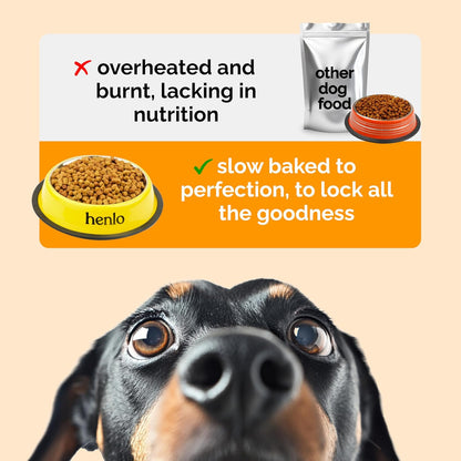 Henlo Baked Chicken & Rice Dry Dog Food | 100% Human Grade Ingredients | 800G | Dry Food for Adult Dogs & Puppies