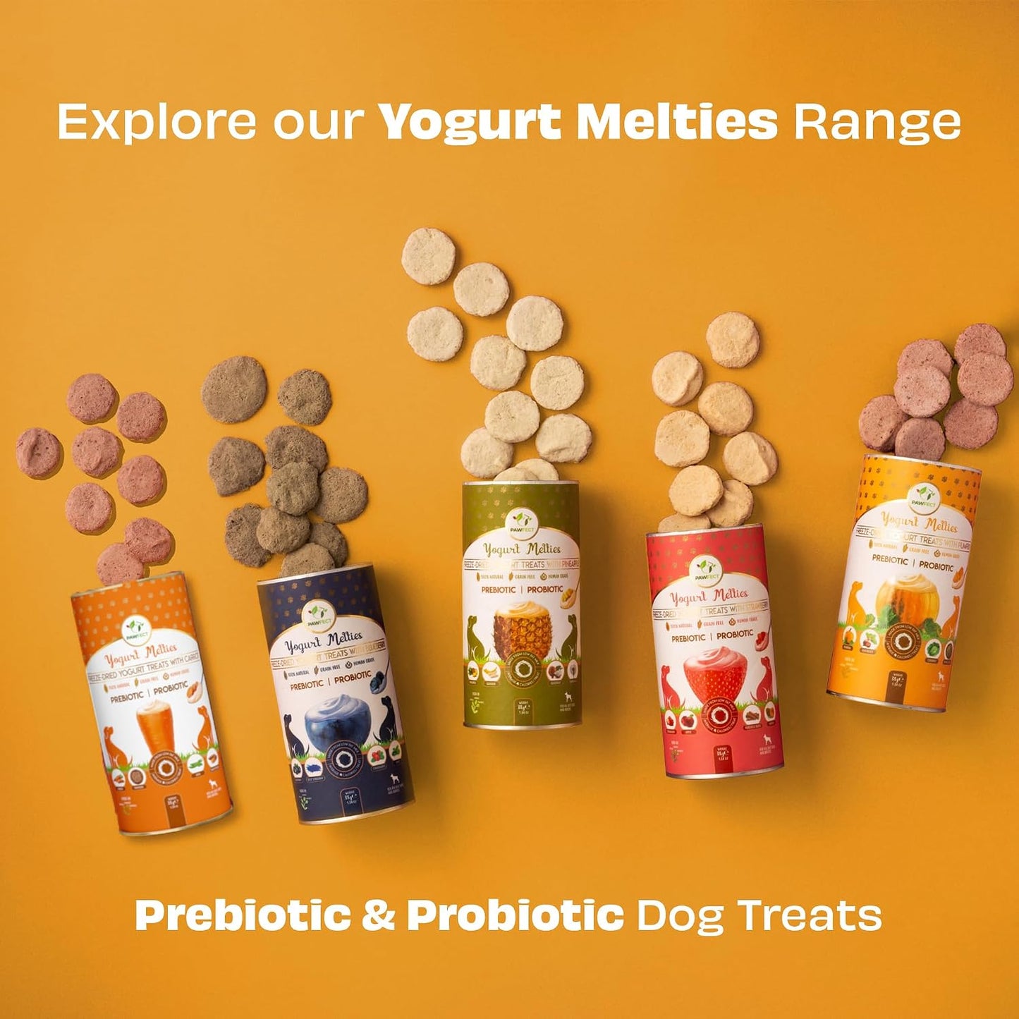 Pawfect Yogurt Melties Freeze Dried Pre and Probiotic Dog Treats with Pumpkin, Beetroot, Cabbage & Fennel Seeds- Healthy Gut- Low Calories- Grain & Gluten Free - Reward or Training Treats (38g/1.34oz)