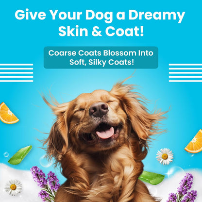 Bark Out Loud by Vivaldis - Dog Conditioner, Leave-in, No-Rinse Formula with Aloe Vera, Chamomile & Lavendar for Soft, Nourished Coats & Tangle-Free, No Frizz Grooming (100ml)