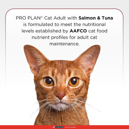 Purina Pro Plan Adult Cat Dry Food with Salmon & Tuna, 1.2kg Pack | With Salmon & Tuna, Complete & Balanced Nutrition, High Protein, Essential Vitamins & Minerals