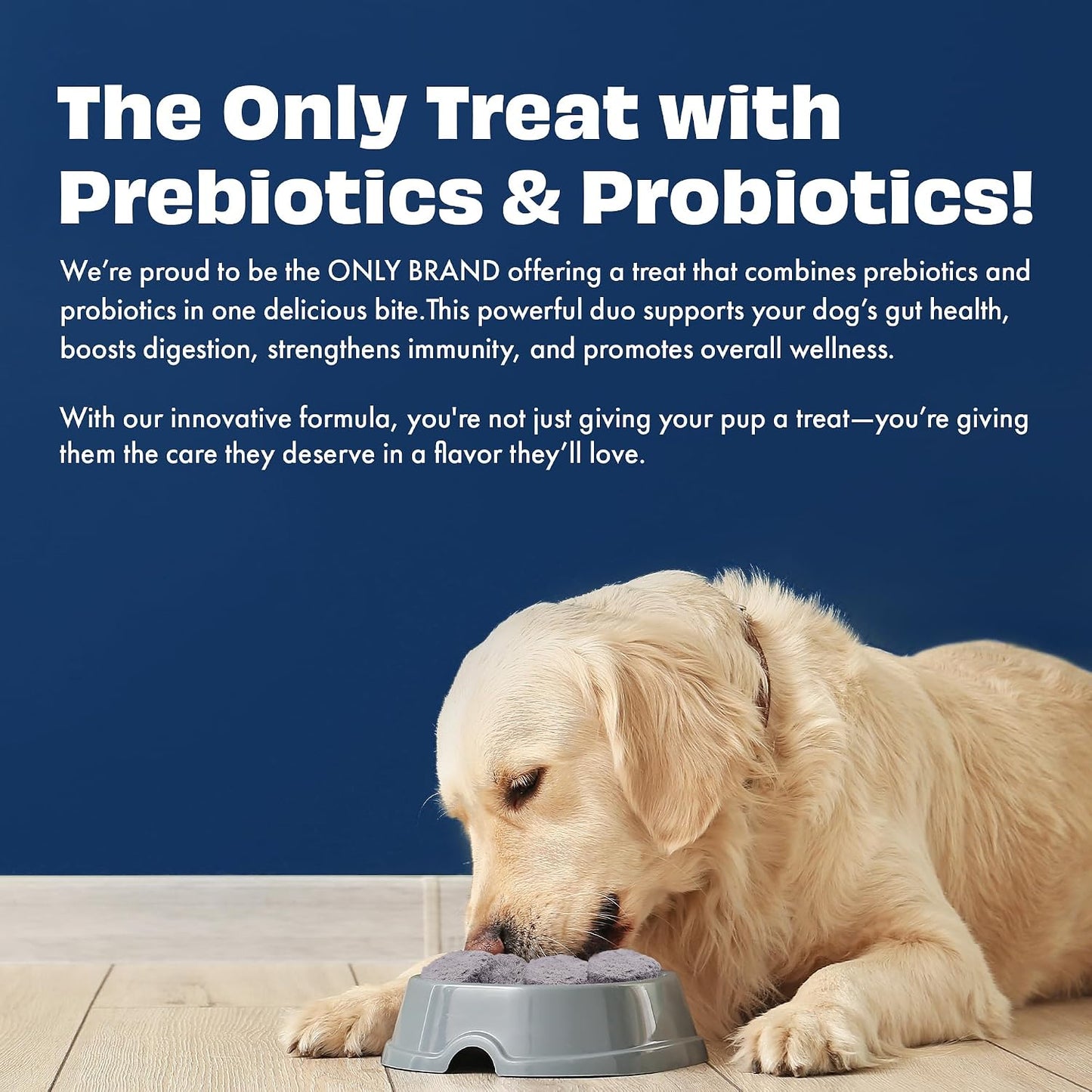 Pawfect Yogurt Melties Freeze Dried Pre and Probiotic Dog Treats with Blueberry, Cranberry, Blue Spirulina & Mint - Healthy Gut - Low Calories - Grain & Gluten Free - Training Treats (38g/1.34oz)