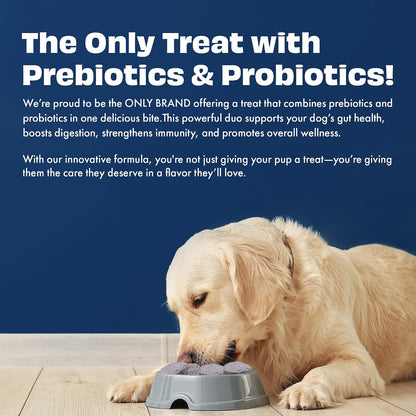 Pawfect Yogurt Melties Freeze Dried Pre and Probiotic Dog Treats with Blueberry, Cranberry, Blue Spirulina & Mint - Healthy Gut - Low Calories - Grain & Gluten Free - Training Treats (38g/1.34oz)