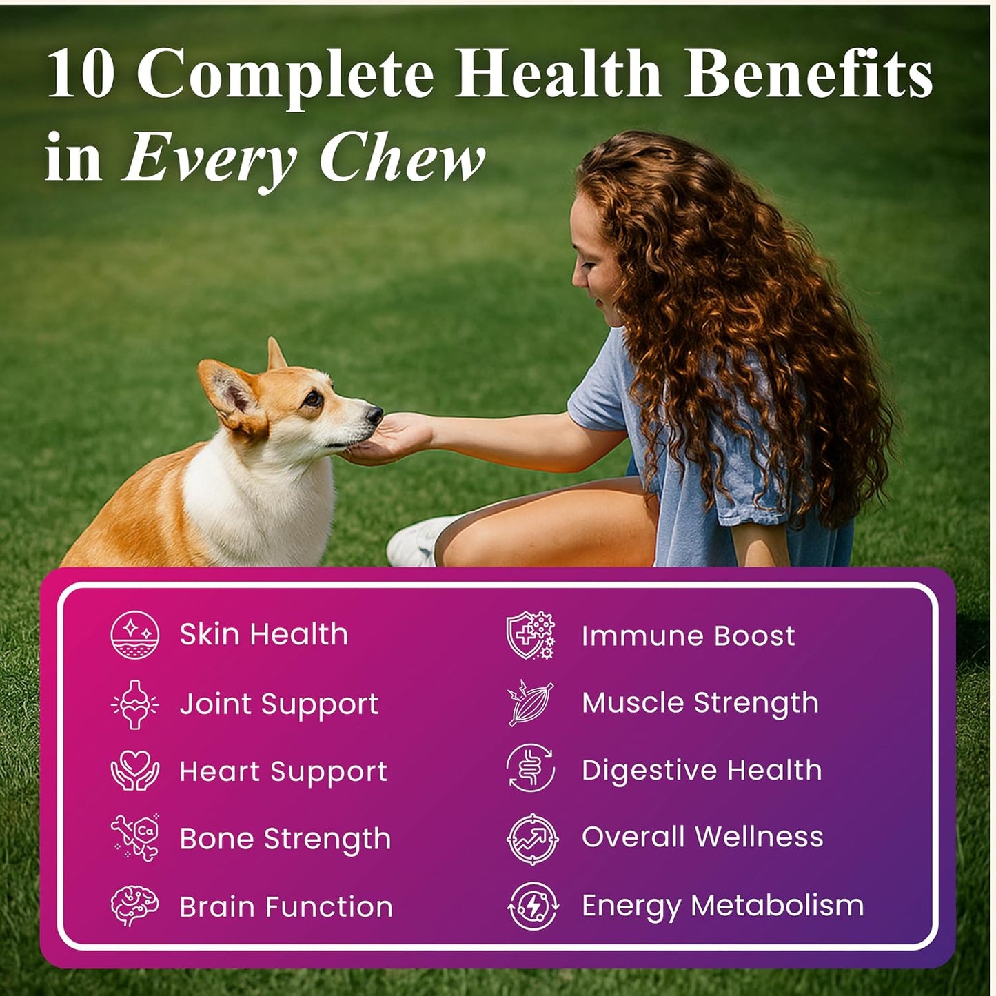Petroyale Daily One, All-in-One Supplement for Dogs – 25 in 1, Dog Multivitamin, Probiotics, Omega 369, Hip & Joint, Skin & Coat, Gut Health – Soft Chew Dog Everyday Supplement for Dogs (60 Chews)