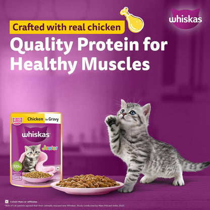 Whiskas Junior Kitten (2-12 Months) Wet Cat Food, Chicken in Gravy, 80 g Hydrating Food Made With Real Chicken, 100% Complete & Balanced Nutrition for Kittens