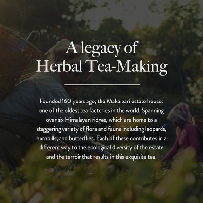 Wellbeing Nutrition Cleanse Tea | Herbal Tea for Healthy Detox, Improved Blood Circulation & Reduced Inflammation | Milk Thistle, Dandelion, Turmeric, Hibiscus (40 Pyramid Tea Bags)