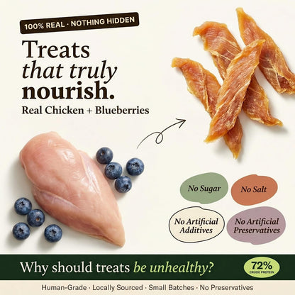 Whisker and Wilde Dehydrated Chicken Jerky | Dog Treats | Antioxidant Boost with Blueberry | Dental Chew | Training and Reward | Human-Grade | No Preservatives | 70g