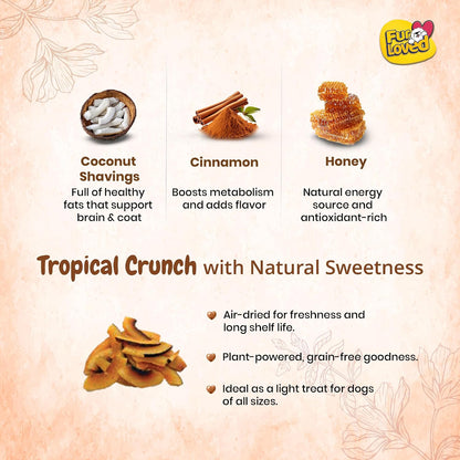 Fur Loved Coco Loco | Natural Coconut Dog Treats with Honey & Cinnamon (30 GM)|Pack_1|