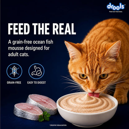 Drools Adult Cat Wet Mousse 80g Pack of 5, 400g | Ocean Fish Flavour | Rich in Protein, Hydrating & Easy to Digest | No Artificial Flavours | with Essential Vitamins & Antioxidants