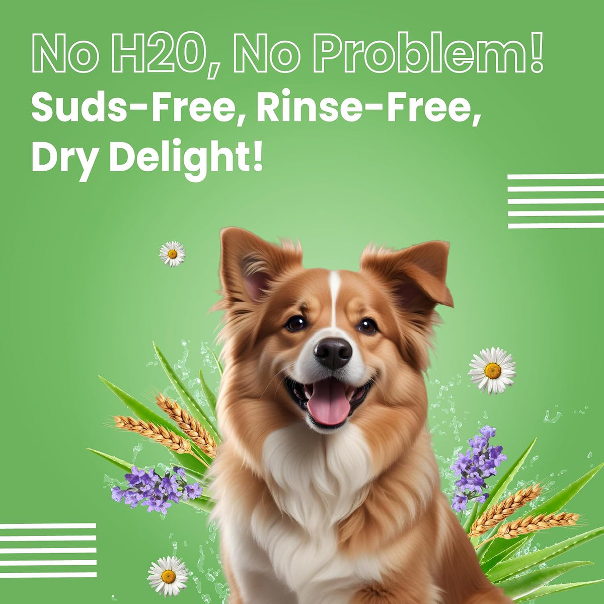 Bark Out Loud - Waterless Dry Dog Shampoo | Aloe Vera, Milk Protein, Lavender & Chamomile | Anti-Bacterial, Itch Relief, Hydrating Coat Dog Dy Bath, Shamppo for Dogs(100ml)