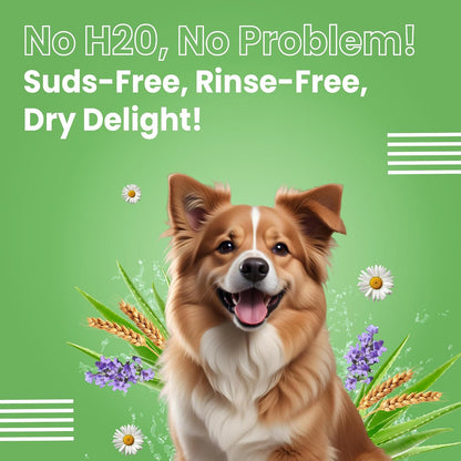 Bark Out Loud - Waterless Dry Dog Shampoo | Aloe Vera, Milk Protein, Lavender & Chamomile | Anti-Bacterial, Itch Relief, Hydrating Coat Dog Dy Bath, Shamppo for Dogs(100ml)