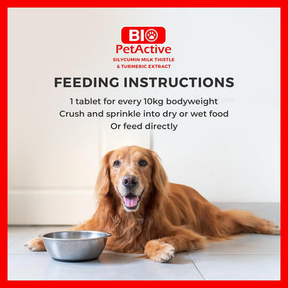Bio PetActive Silycumin 1,5 g 45 Tablets Milk Thistle & Turmeric Extract Silymarin Curcumin Kidney & Liver Support Suitable for Large Breed Dogs