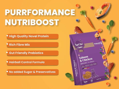 BARK OUT LOUD Bol Adult Dry Cat Food Chicken & Salmon 100 Gm